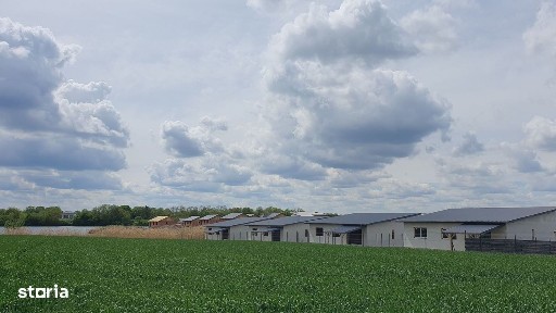 Soseaua Bucuresti-Targoviste, Crevedia, Dambovita