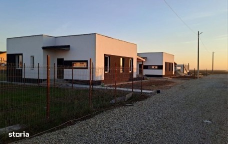 Casa Noua 2024 Adunatii Copaceni