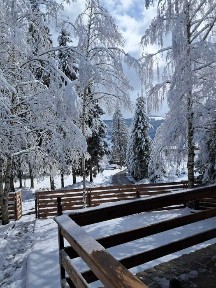 Vatra Dornei, Suceava