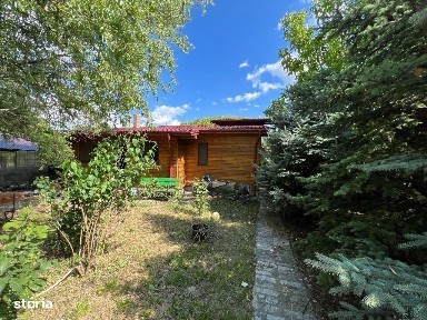 Buciumeni, Buftea, Ilfov