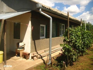 Casa si teren in Livedea - Ialomita