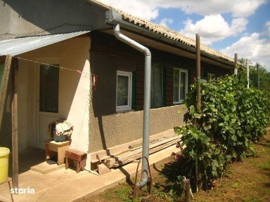 Casa si teren in Livedea - Ialomita