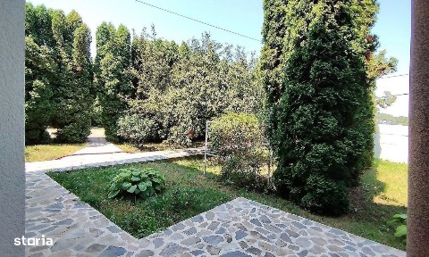 Bartolomeu Nord, Brasov