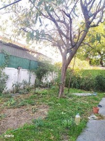 Pieptanari, Sectorul 5, Bucuresti