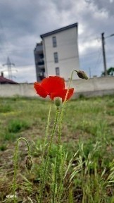 Apartament de vanzare 1 mai