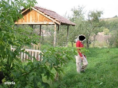 Inchiriez gradina Hamba