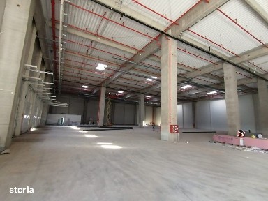 Serbanesti, Bacau
