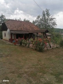 Vand casa la tara
