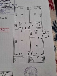 Braila, Nicolae Balcescu