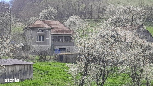 Casa individuala, 3500 mp teren, zona Vintu de Jos, Inuri