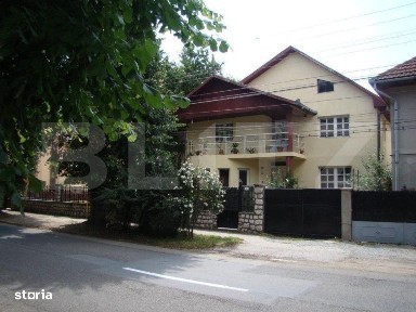 Casa individuala, zona centrala - posibilitate business !