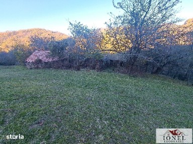 Casa cu 17399 mp teren in Valea Vintului