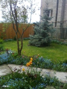 Centrul Vechi, Brasov