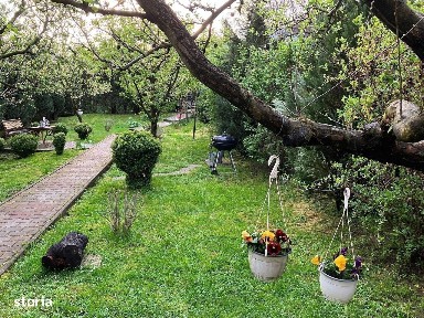 Tudor Vladimirescu, Targu Mures, Mures