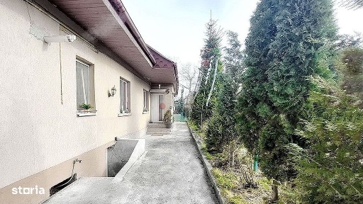 Bartolomeu Nord, Brasov