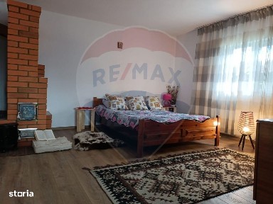 Vânzare casa la munte - zona turistica - Baia de Fier