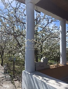 Vila 9 camere***gradina cu pomi fructiferi//1085 mp teren***Dragomires