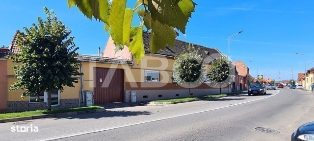Strada Alunului, Sebes, Alba