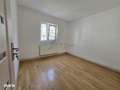 Alexandru Cel Bun, Iasi