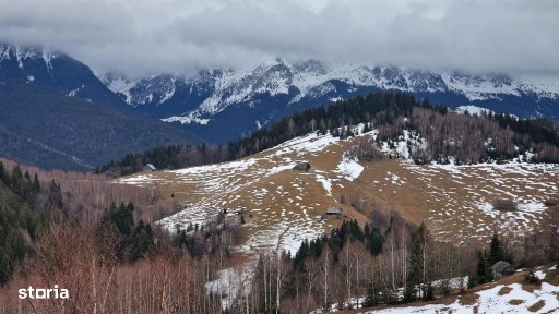 Moieciu De Jos, Moieciu, Brasov