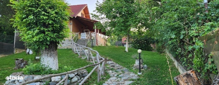 Vila Horezu Romanii de Jos
