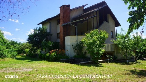 Daesti, Valcea