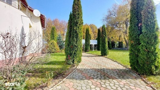 Halchiu, Brasov