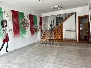 Andrei Saguna, Zimandu Nou, Arad