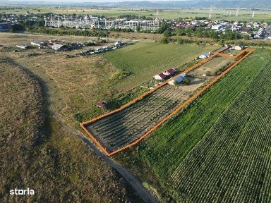 Casa Tip Cabana Letea Veche 5200 mp teren Livada Aluni