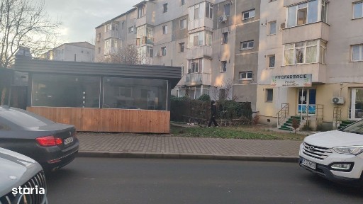 Mircea cel Batran, Iasi