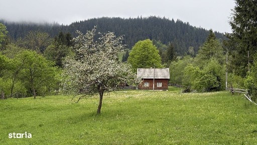 Paltinu, Vatra Moldovitei, Suceava