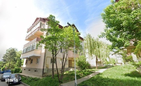 Strada Privighetorii, Burdujeni, Suceava