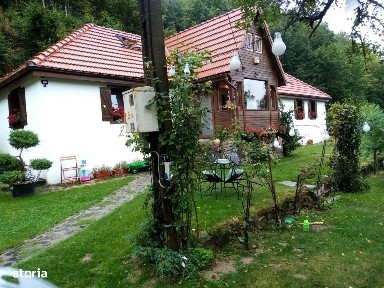 Casă P+M,1800 mp teren,Săcărțmb-jud.Hunedoara