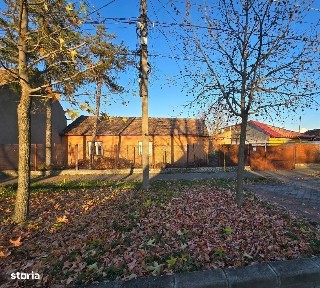 Fratelia, Timisoara, Timis