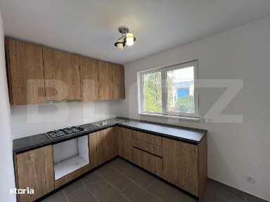 Subcentral, Satu Mare