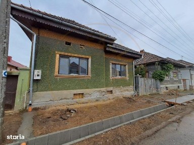 Lisa, Brasov