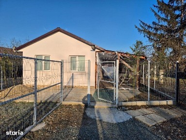 Bercu Rosu, Satu Mare