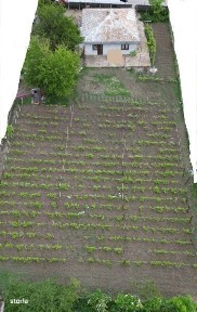 Scobalteni, Podu Iloaiei, Iasi