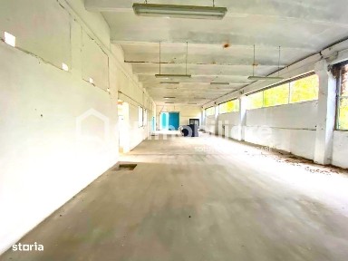 Strada Panait Cerna, Lugoj, Timis