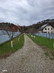Casa de vacanta, 2 camere, teren imprejmuit 2000 mp, sat Zizin!