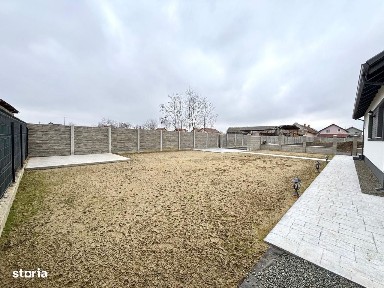 Sanmihaiu Roman, Timis