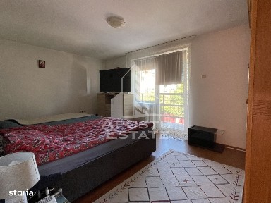 Calea Sagului Parc Industrial, Timisoara, Timis