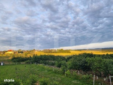 Casa/Vila de vanzare / posibil Pensiune,cu view si padure la coltul