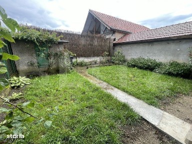 Subcentral, Satu Mare