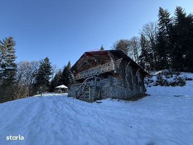 Cabană în inima munților,acces la pârtia de schi din Borșa,teren2200mp