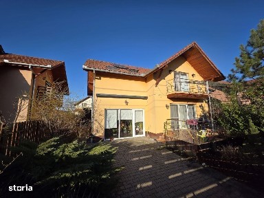 Sangeorgiu De Mures, Mures