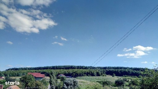 Casa frumoasa cu o curte minuna, mobilata complet, utilata 700mp teren