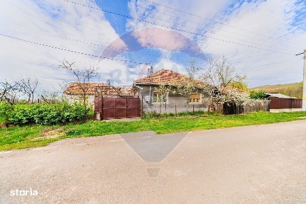 Casă cu teren 4500mp de vanzare in Carand Jud. Arad