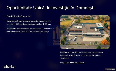 Spatiu comercial de Vanzare Domnesti