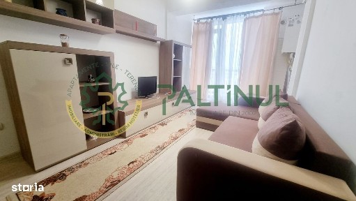 Apartament 2 camere, etaj 11, mobilat complet - Doamna Stanca, Șelimbă